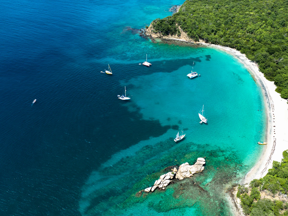 A group of boats on a beach