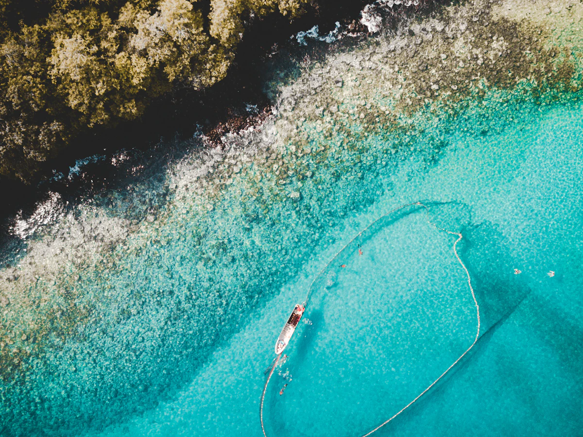 Two boats on body of water beside island