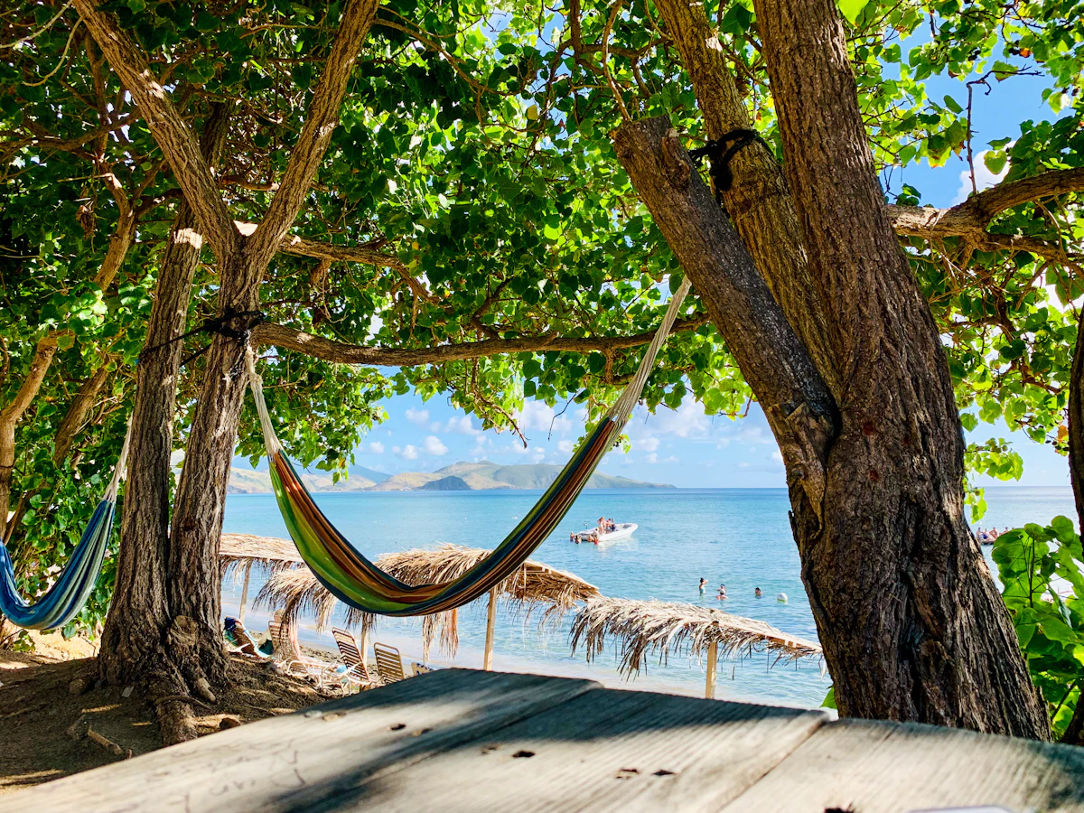 A hammock hanging between two trees on a beach